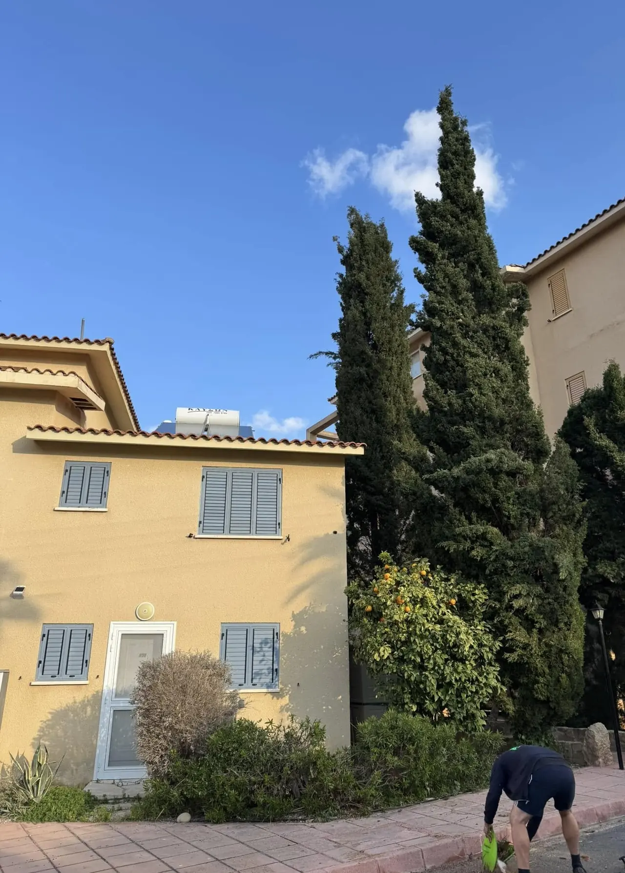 The same spot with the palm taken out and cleared
