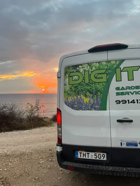 A Dig it van by the sea at sunset
