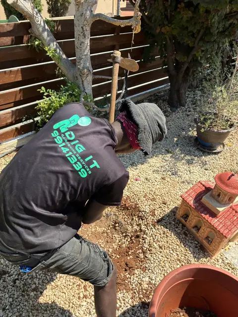 Φύτευση σε παρτέρι με χαλίκι