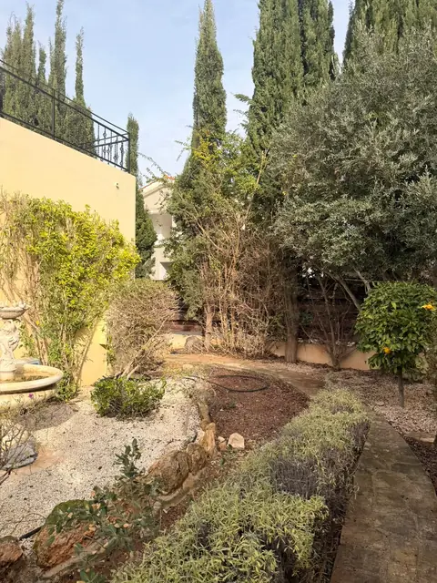 Αναβαθμίδες κλαδεμένες και τακτοποιημένες
