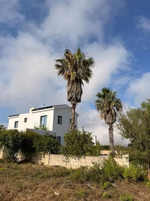 Φοίνικες καθαρισμένοι πάνω από κήπο βίλας