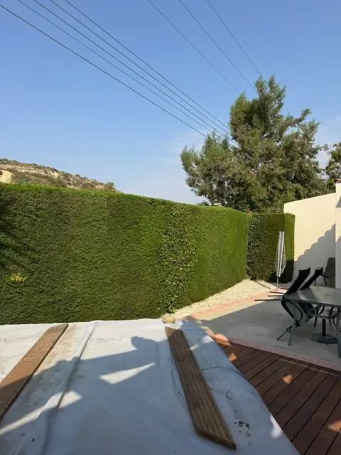 A tall hedge trimmed behind a new deck