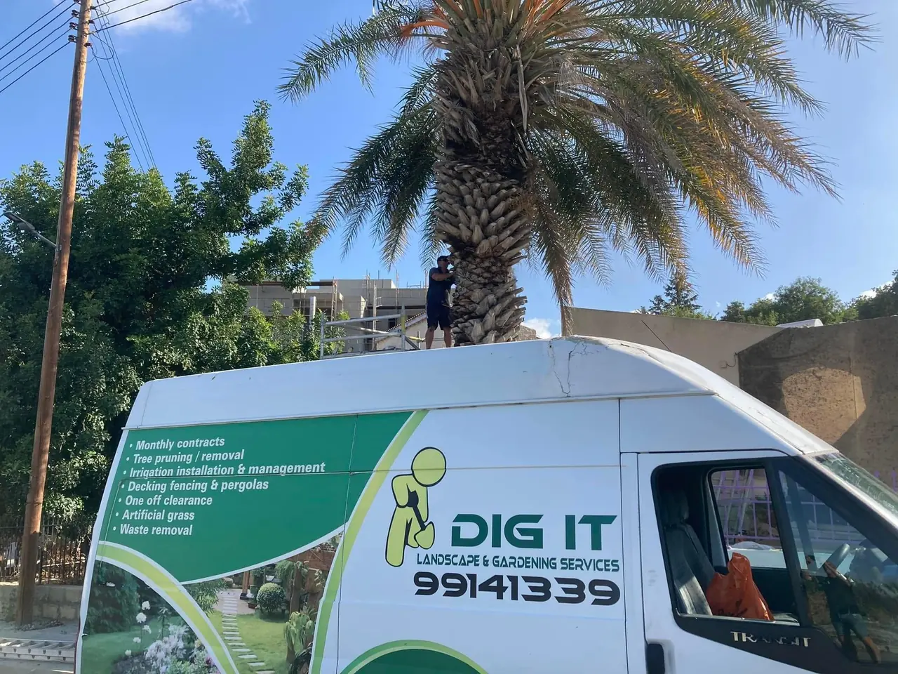 Gardener up a palm above a Dig it van